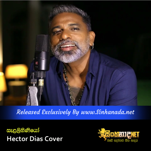 Salalihiniyo - Hector Dias Cover.mp3