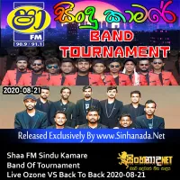 Cover Art – 19.RUWAN SRILAL SONGS NONSTOP - Sinhanada.net - BACK TO BACK.mp3