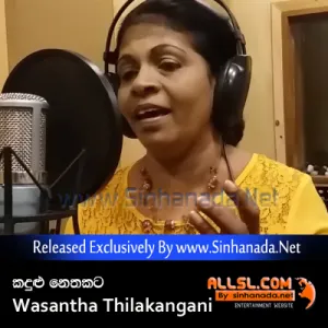 Cover Art – Kandulu Nethakata - Wasantha Thilakangani.mp3