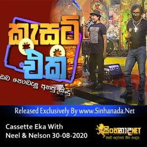 Cover Art – 03 - Pin Malu Wale - Neel Warnakulasuriya With Cassette Eka.mp3