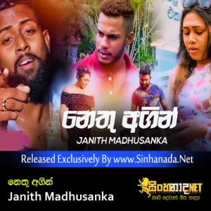 Cover Art – Nethu Agin - Janith Madhusanka.mp3