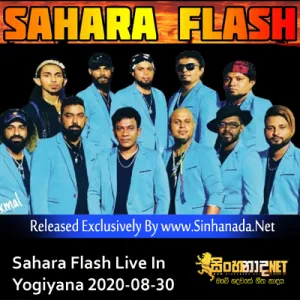 Cover Art – 24.NONSTOP - SUNFLOWER MEMBERS.mp3