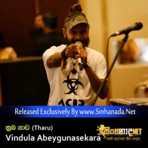 Cover Art – Numba Gawa (Tharu) - Vindula Abeygunasekara.mp3