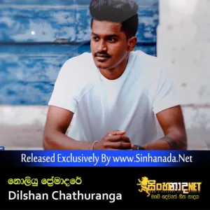 Cover Art – Noliyu Premadare - Dilshan Chathuranga.mp3
