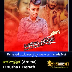 Cover Art – Sewanellak (Amma) - Dinusha L Herath.mp3