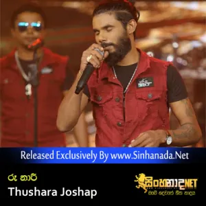 Cover Art – Ru Naari - Thushara Joshap Audio Trailer.mp3