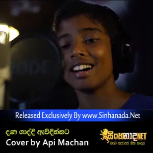 Cover Art – Dana Gaddi Awidinnata Cover Song by Api Machan.mp3