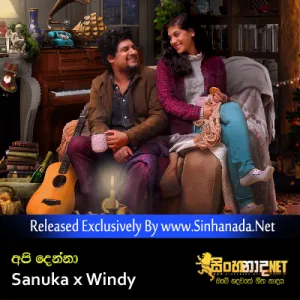 Cover Art – Api Denna - Sanuka x Windy.mp3