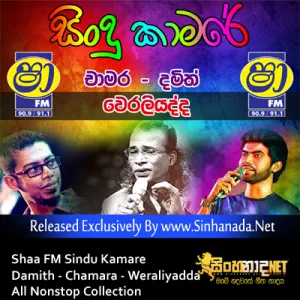 Cover Art – 57.DAMITH ASANKA SONGS NONSTOP - Sinhanada.net - POWER PACK.MP3