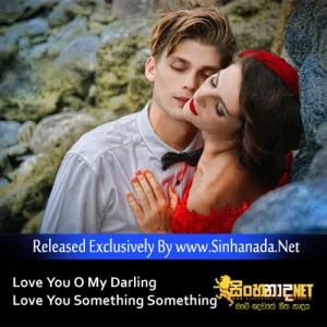 Cover Art – Love You O My Darling Love You Something Something - Full Song.mp3