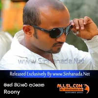 Cover Art – Mage Gitare Aragena - Roony.mp3