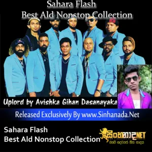Cover Art – 08 Punjab Nonstop - Sahara Flash.mp3