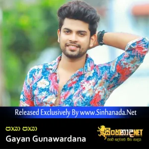 Cover Art – Paya Paya - Gayan Gunawardana.mp3