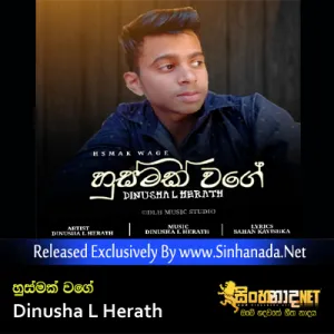 Cover Art – Husamak Wage - Dinusha L Herath.mp3