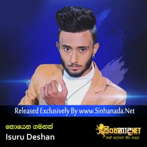 Cover Art – Noena Gamanak - Isuru Deshan.mp3