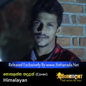 Cover Art – Nosalanna Kandulak Desin (Cover) - Himalayan.mp3