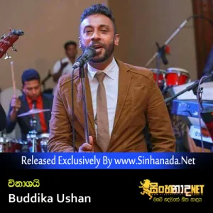 Cover Art – Vinashai - Buddika Ushan.mp3