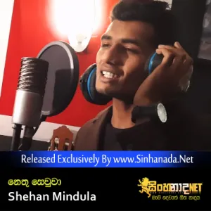 Cover Art – Nethu Sewwa - Shehan Mindula.mp3