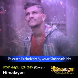 Cover Art – Pem Lowa Duk Gini (Cover) - Himalayan.mp3