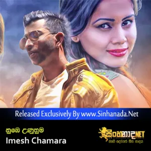 Cover Art – Nube Unuhuma - Imesh Chamara.mp3