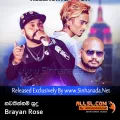 Cover Art – Nawathinnam Sudu (Guna Gayana) - Brayan Rose.mp3