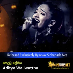 Cover Art – Nodutu Premaya - Sanka Dineth featuring Aditya Waliwattha.mp3
