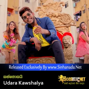 Cover Art – Santhosai - Udara Kawshalya.mp3