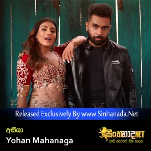 Cover Art – Aneesha - Yohan Mahanaga.mp3