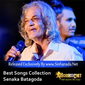 Cover Art – Best Songs Collection of Senaka Batagoda.mp3