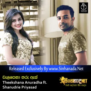 Cover Art – Welapena Tharu As - Theekshana Anuradha ft. Shanudrie Priyasad.mp3