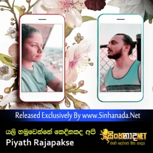 Cover Art – Yali Hamuwenne Kedhinadha Api - Piyath Rajapakse.mp3