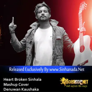 Cover Art – Heart Broken Sinhala Mashup Cover - Denuwan Kaushaka.mp3