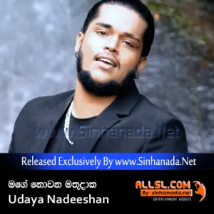 Cover Art – Pitupala Yana Daka (Mage Nowana Mathu Daka) - Udaya Nadeeshan.mp3