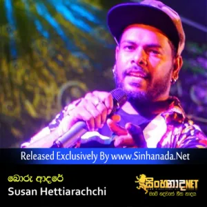 Cover Art – Boru Adare - Susan Hettiarachchi.mp3