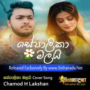 Cover Art – Sepalika Malai - Chamod H Lakshan Cover Song.mp3