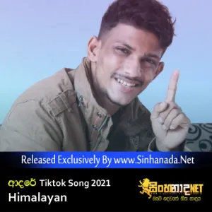 Cover Art – Adare (Oba Mulin Dutuwa Dina Ma) - Tiktok Song 2021 Himalayan.mp3