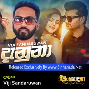 Cover Art – Danuna - Viji Sandaruwan.mp3