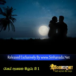 Cover Art – Reye Esena Miyuru Gee Nonstop 1.mp3