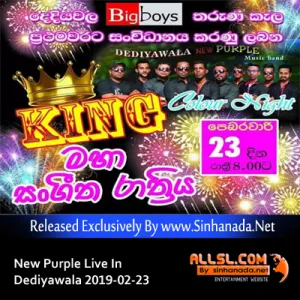Cover Art – 44.WERALIYADDA SONGS NONSTOP - Sinhanada.net - NEW PURPLE.mp3