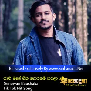 Cover Art – Palu Mage Hitha Horakam Karala - Denuwan Kaushaka Tik Tok Hit Song.mp3