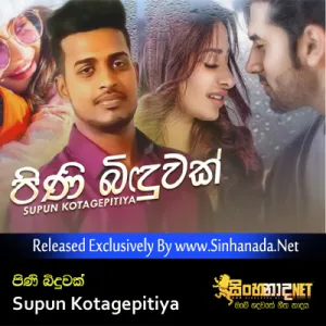 Cover Art – Pini Biduwak - Supun Kotagepitiya.mp3