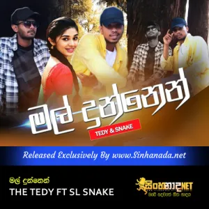 Cover Art – Mal Dunnen - THE TEDY FT SL SNAKE.mp3