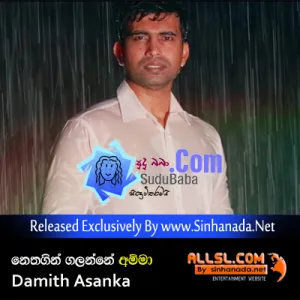 Cover Art – Nethagin Galanne (Amma) - Damith Asanka.mp3