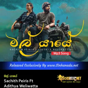 Cover Art – Mal Yaye - Sachith Peiris Ft Adithya Weliwatta.mp3