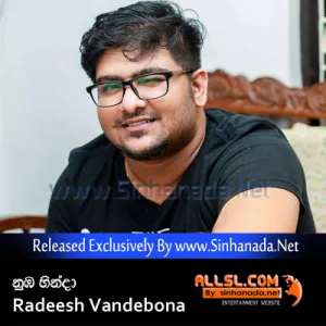 Cover Art – Nuba Hinda (Adareta Lowa Seema) - Radeesh Vandebona.mp3