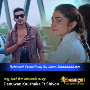 Cover Art – Palu Mage Hitha - Denuwan Kaushaka Ft Shivon.mp3