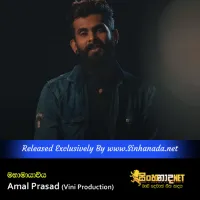 Cover Art – Mahamayaviya - Amal Prasad (Vini Production).mp3