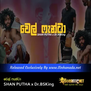 Cover Art – Wel Panta - SHAN PUTHA x Dr.BSKing.mp3