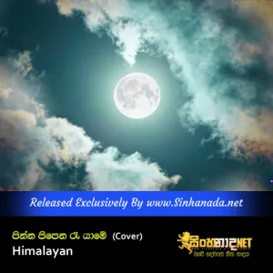 Cover Art – Pinna Pipena Ree Yaame (Cover) - Himalayan.mp3