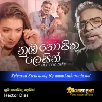 Cover Art – Numba Nosithu Lessin - Hector Dias.mp3